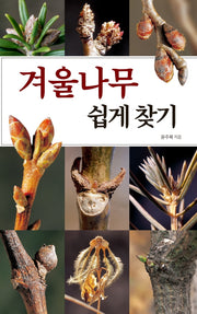 겨울나무 쉽게 찾기(호주머니 속의 자연)
