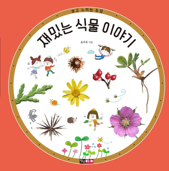 재밌는 식물 이야기(보고 느끼는 도감)