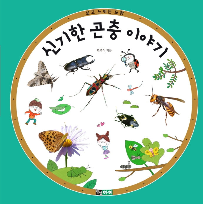 신기한 곤충 이야기(보고 느끼는 도감)