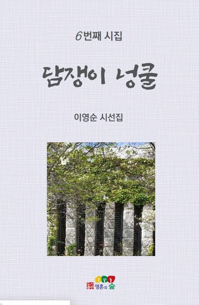 담쟁이 넝쿨