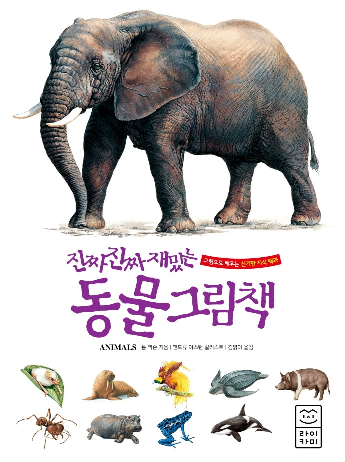 진짜 진짜 재밌는 동물 그림책(양장본 Hardcover)