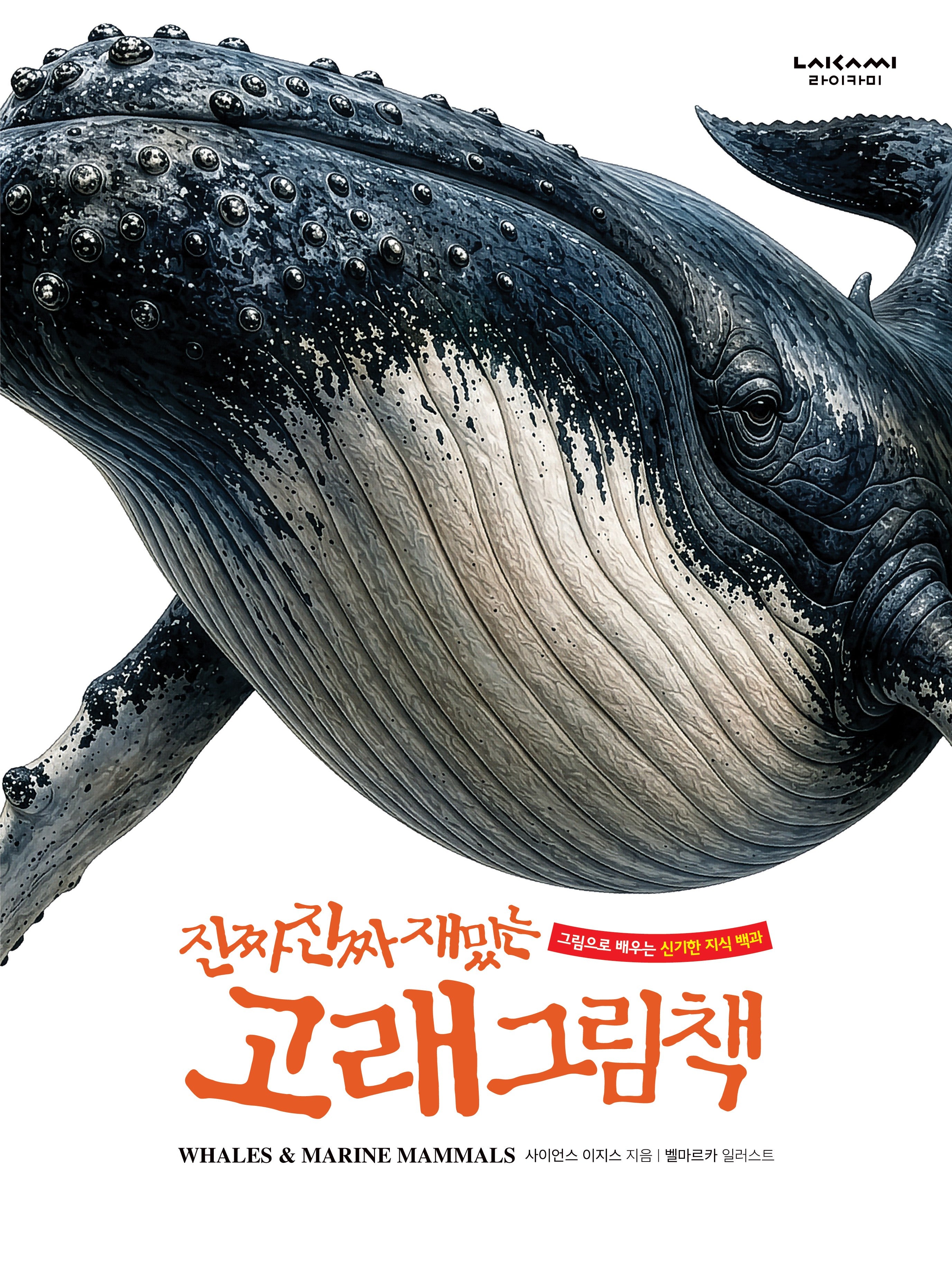 진짜 진짜 재밌는 고래 그림책(양장본 Hardcover)