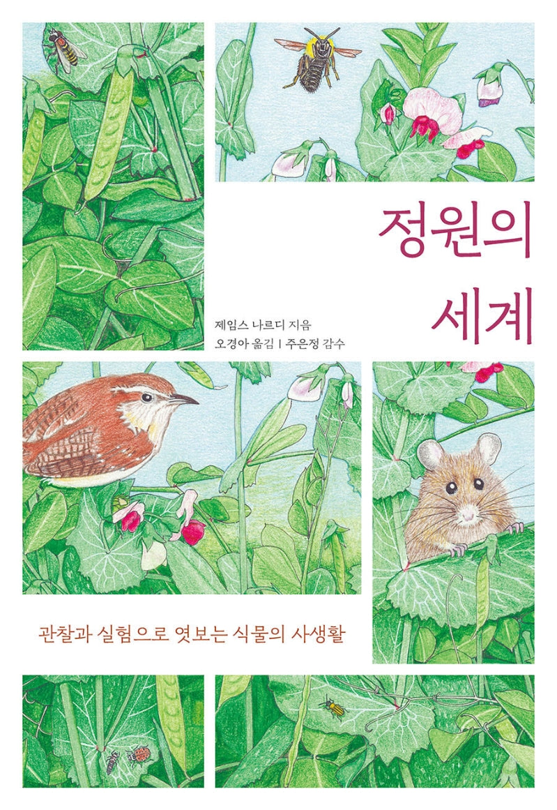 정원의 세계
