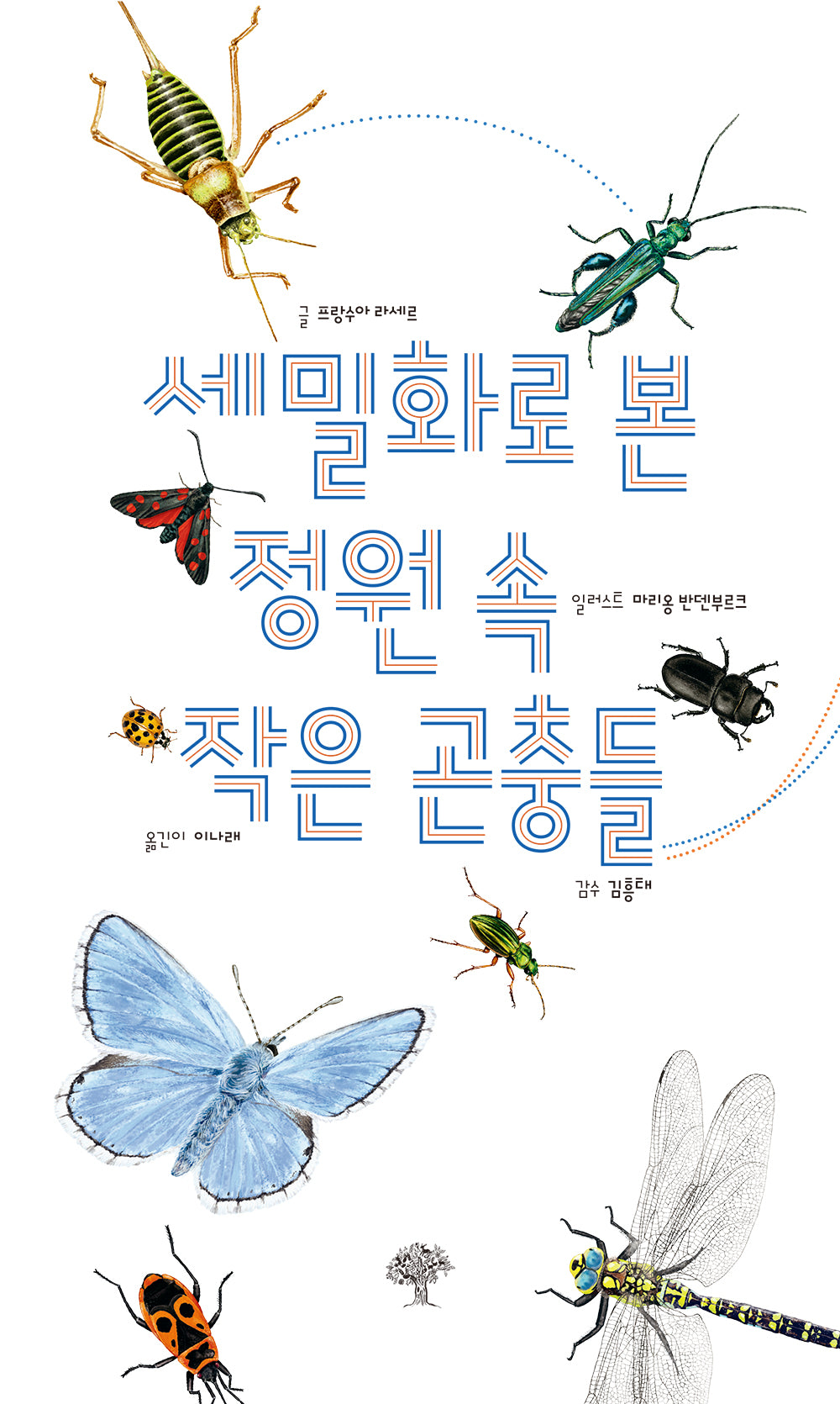 세밀화로 본 정원 속 작은 곤충들