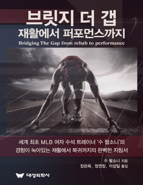 브릿지 더 갭