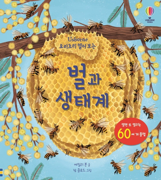 요리조리 열어 보는 벌과 생태계(플랩북)(Usborne)(양장본 Hardcover)