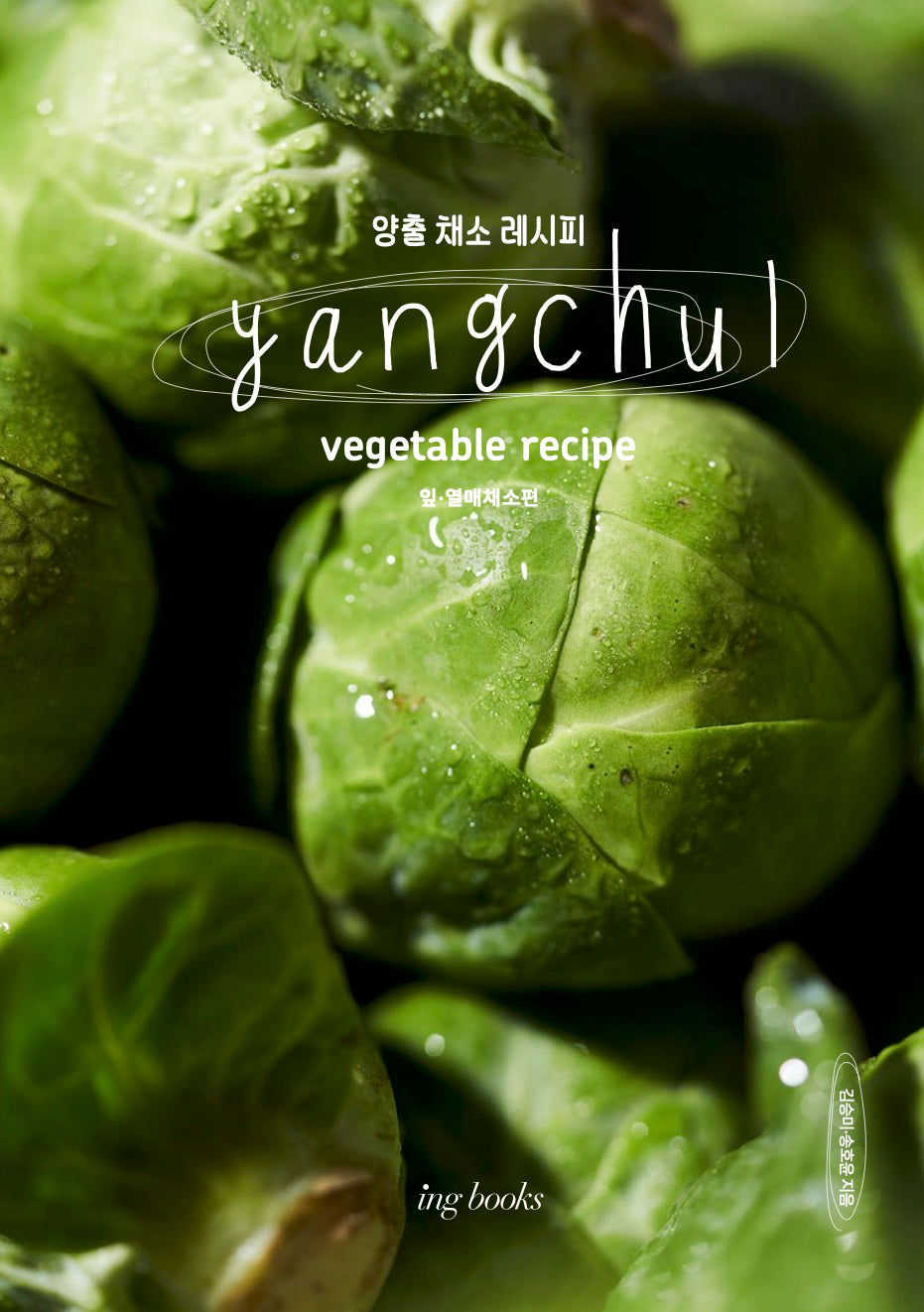 양출 채소 레시피(Yangchul vegetable recipe): 잎, 열매 채소편(양장본 Hardcover)