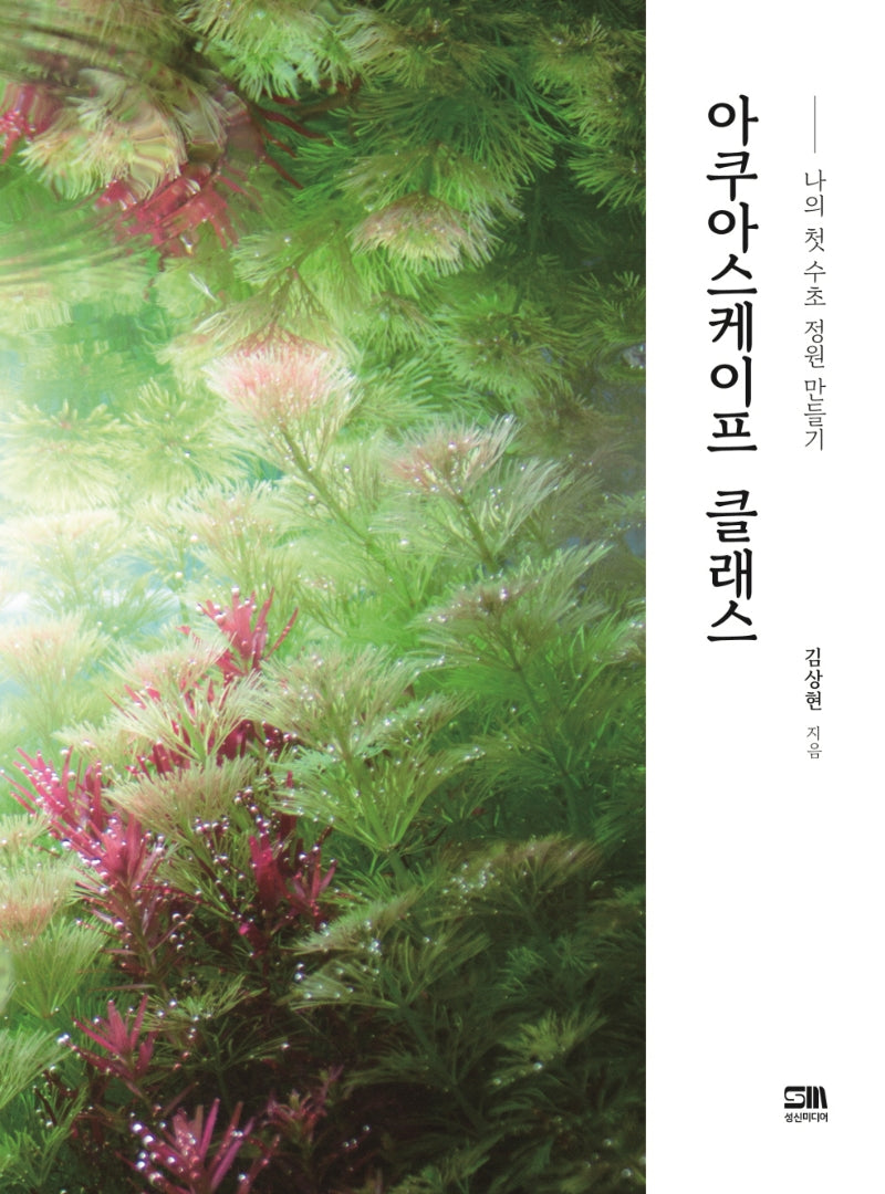 아쿠아스케이프 클래스
