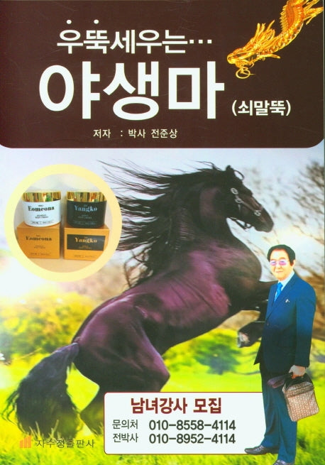 야생마