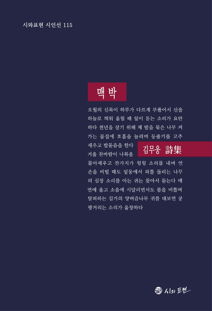 맥박(시와표현 시인선 115)(양장본 HardCover)