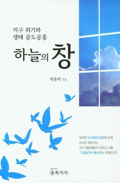 하늘의 창