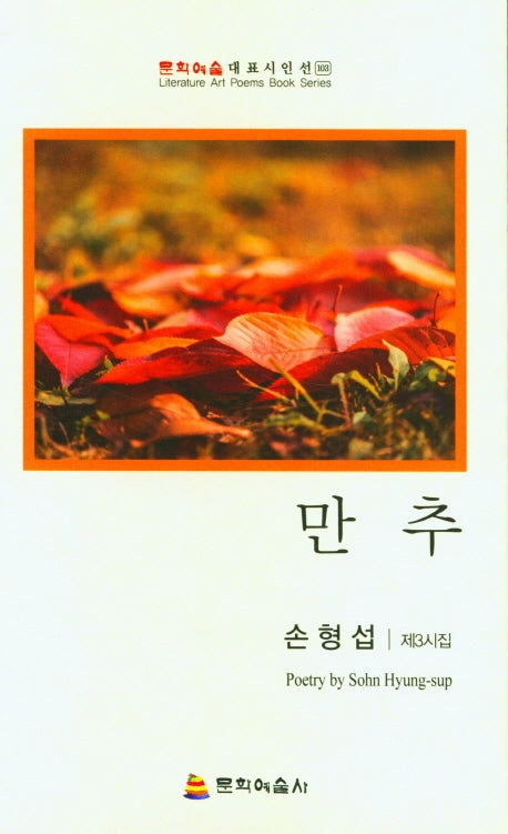 만추(문학예술대표시인선 103)