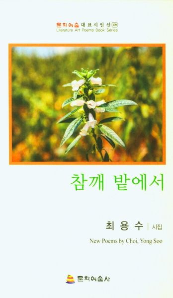 참깨 밭에서
