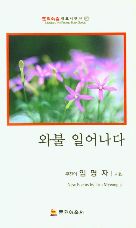 와불 일어나다(문학예술대표시인선 117)