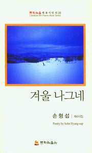 겨울 나그네(문학예술대표시인선 120)