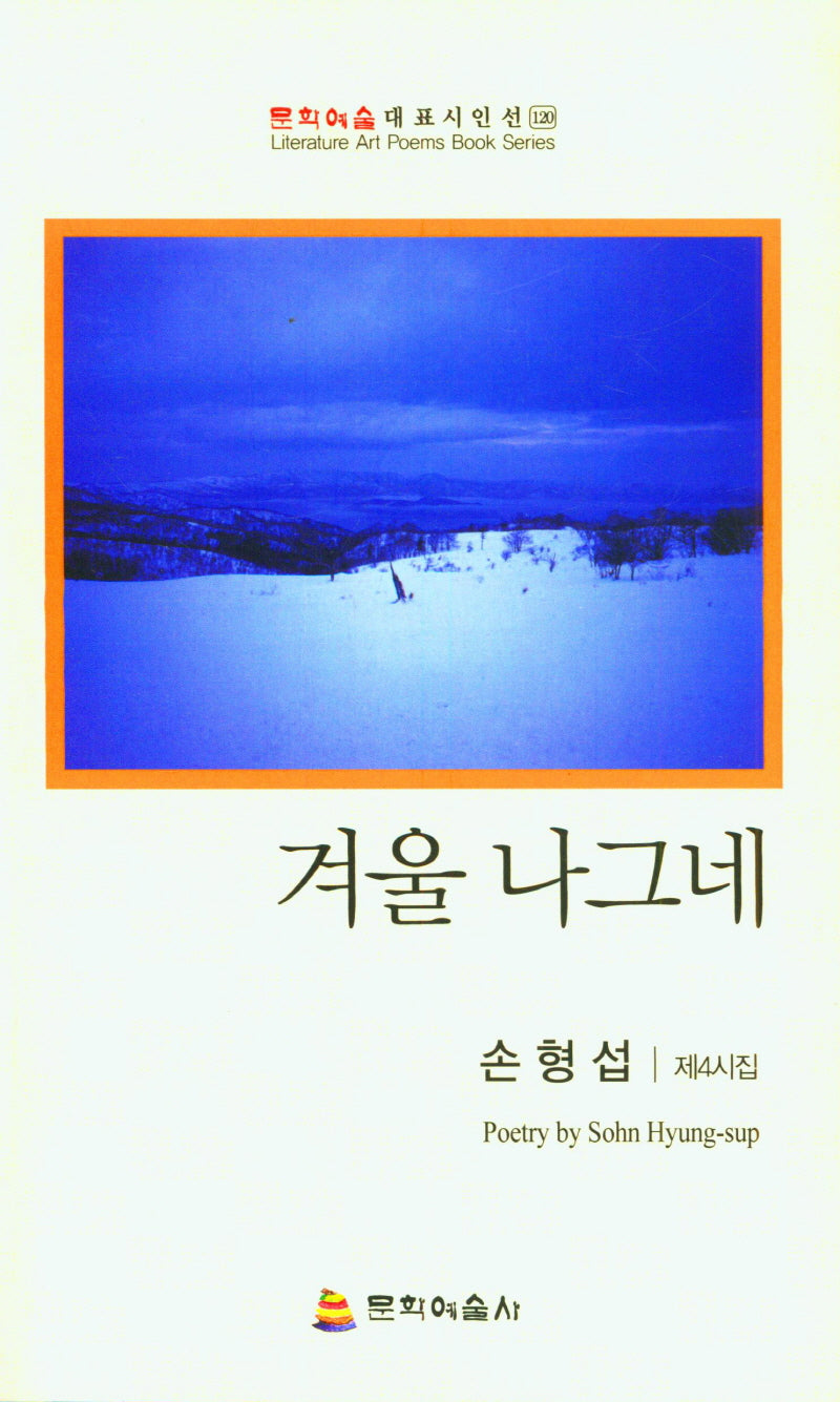 겨울 나그네(문학예술대표시인선 120)
