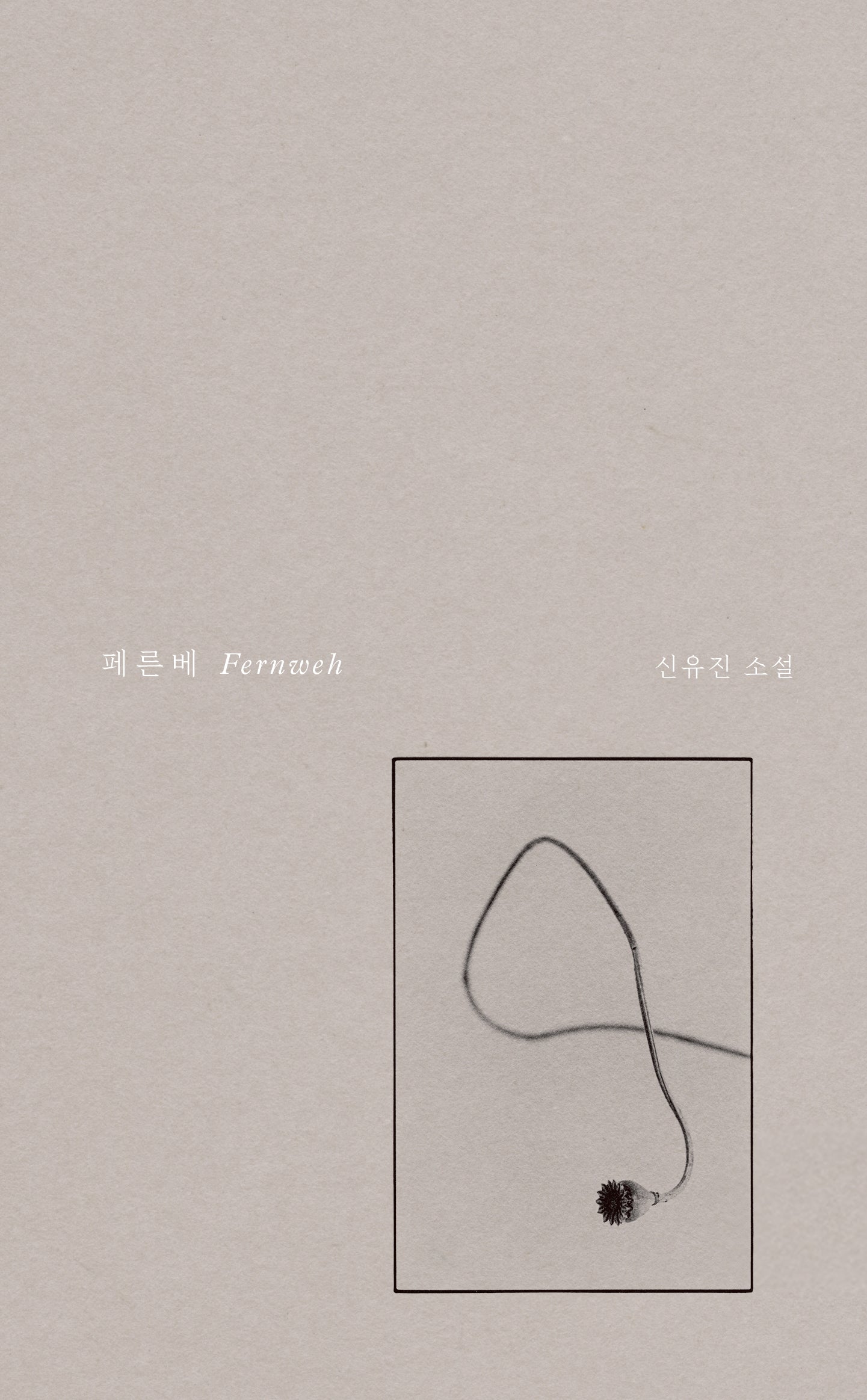 페른베(양장본 Hardcover)