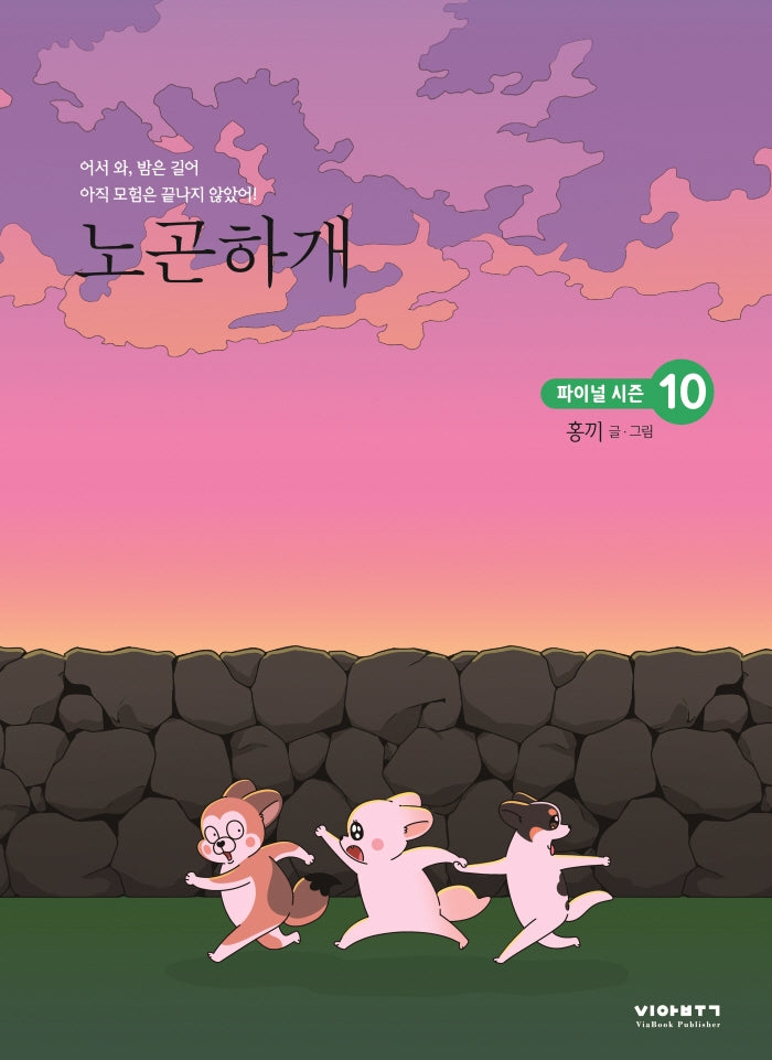 노곤하개 10(반양장)