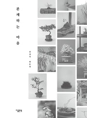 분재하는 마음
