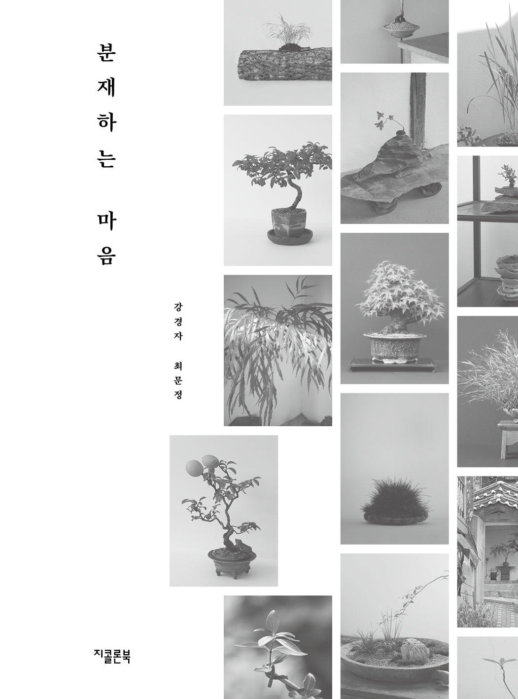 분재하는 마음