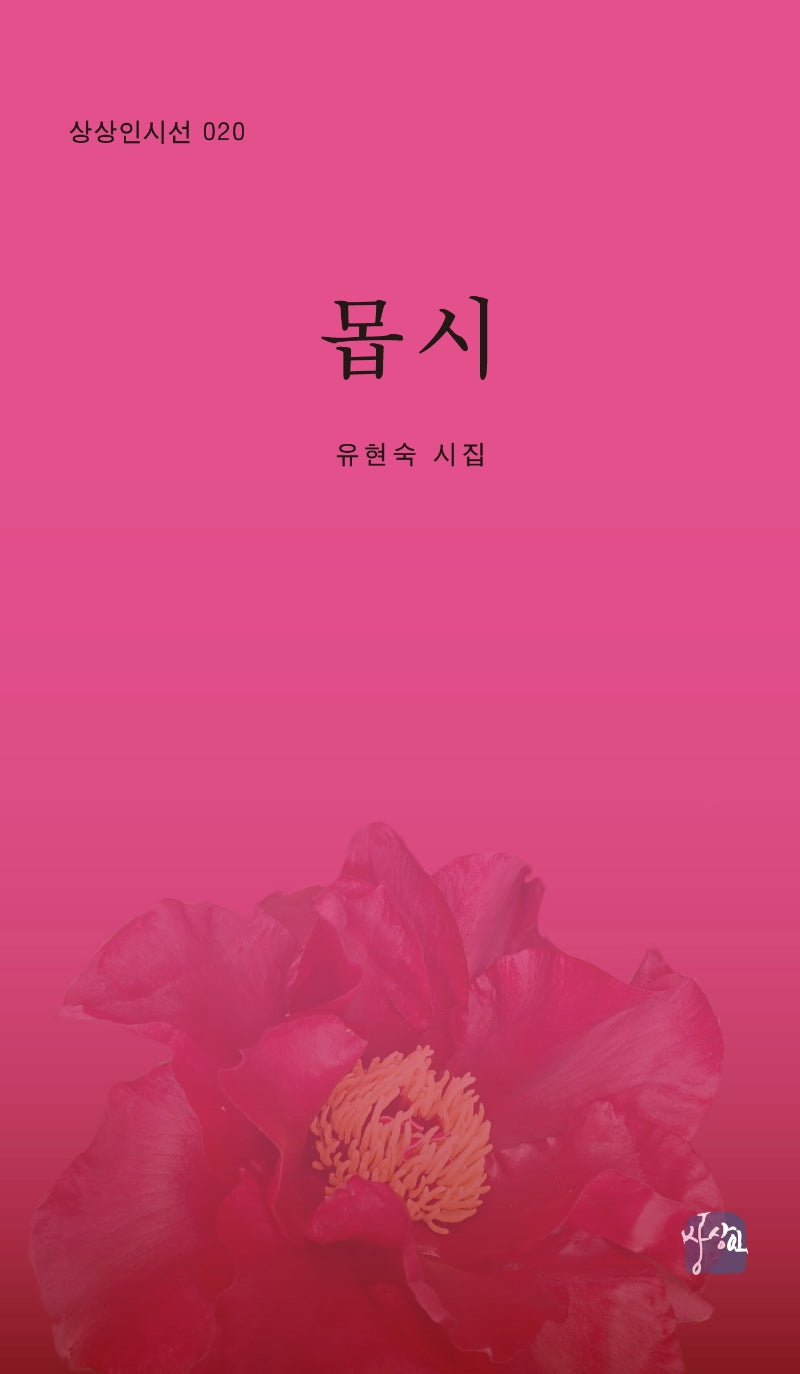 몹시(상상인시선 20)