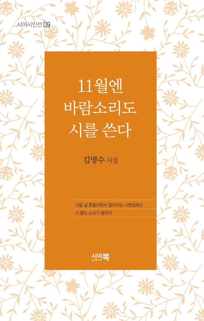11월엔 바람소리도 시를 쓴다(시아시인선 9)