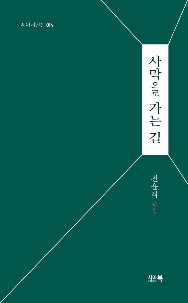 사막으로 가는 길(시아시인선 14)