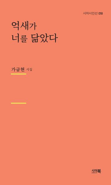 억새가 너를 닮았다(시아시인선 18)