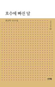 호수에 빠진 달(시아시인선 31)