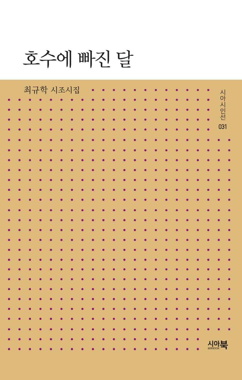 호수에 빠진 달(시아시인선 31)