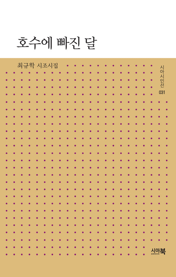 호수에 빠진 달(시아시인선 31)