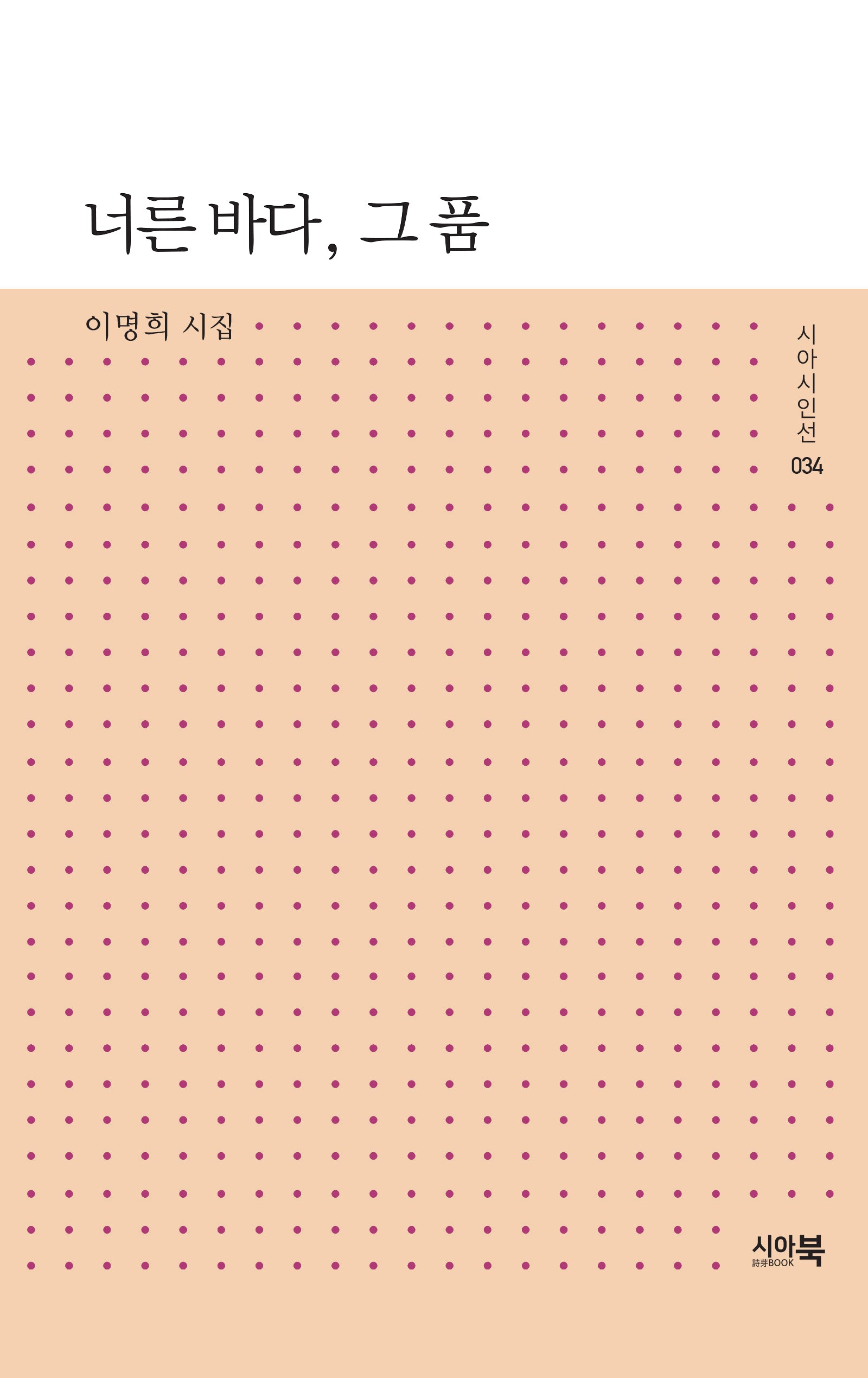 너른 바다, 그 품(시아시인선 34)