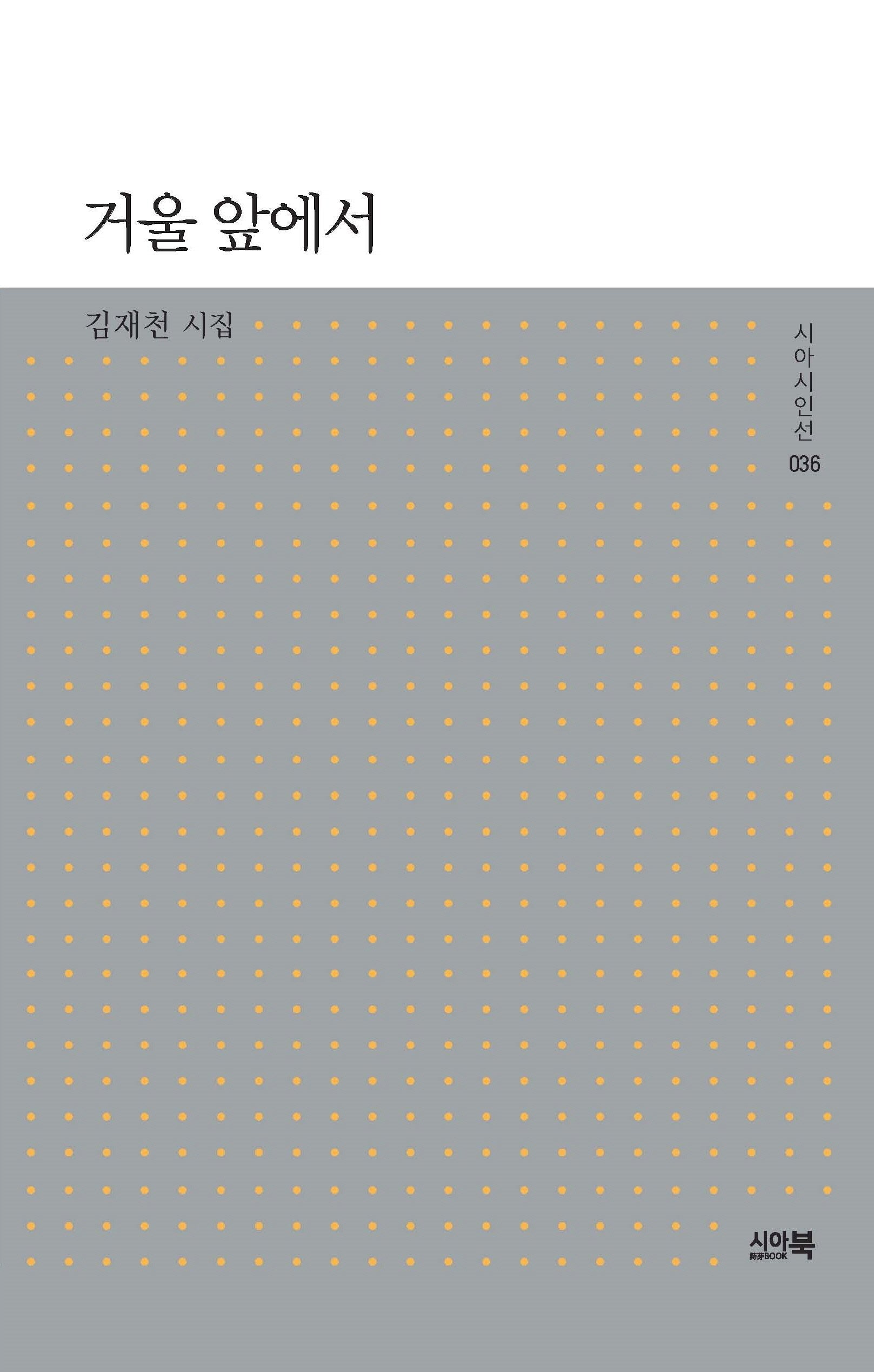 거울 앞에서(시아시인선 36)