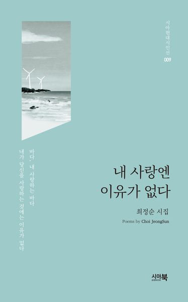 내 사랑엔 이유가 없다(시아현대시인선 9)