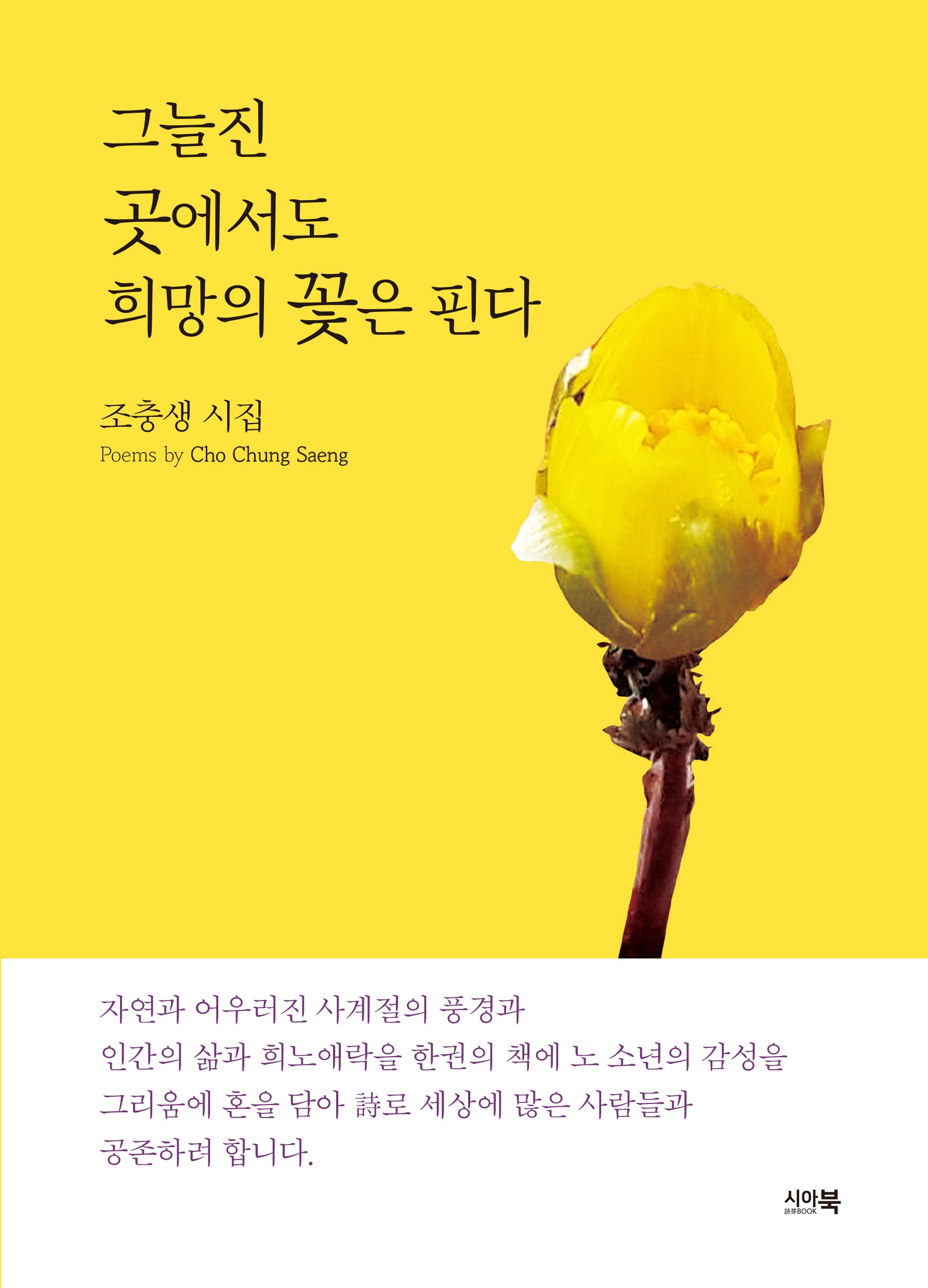 그늘진 곳에서도 희망의 꽃은 핀다