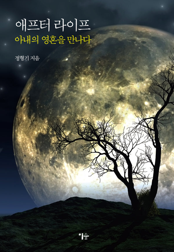 애프터 라이프