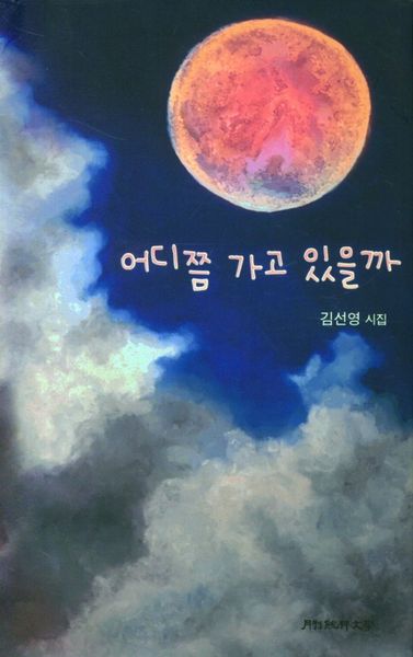 어디쯤 가고 있을까(양장본 HardCover)