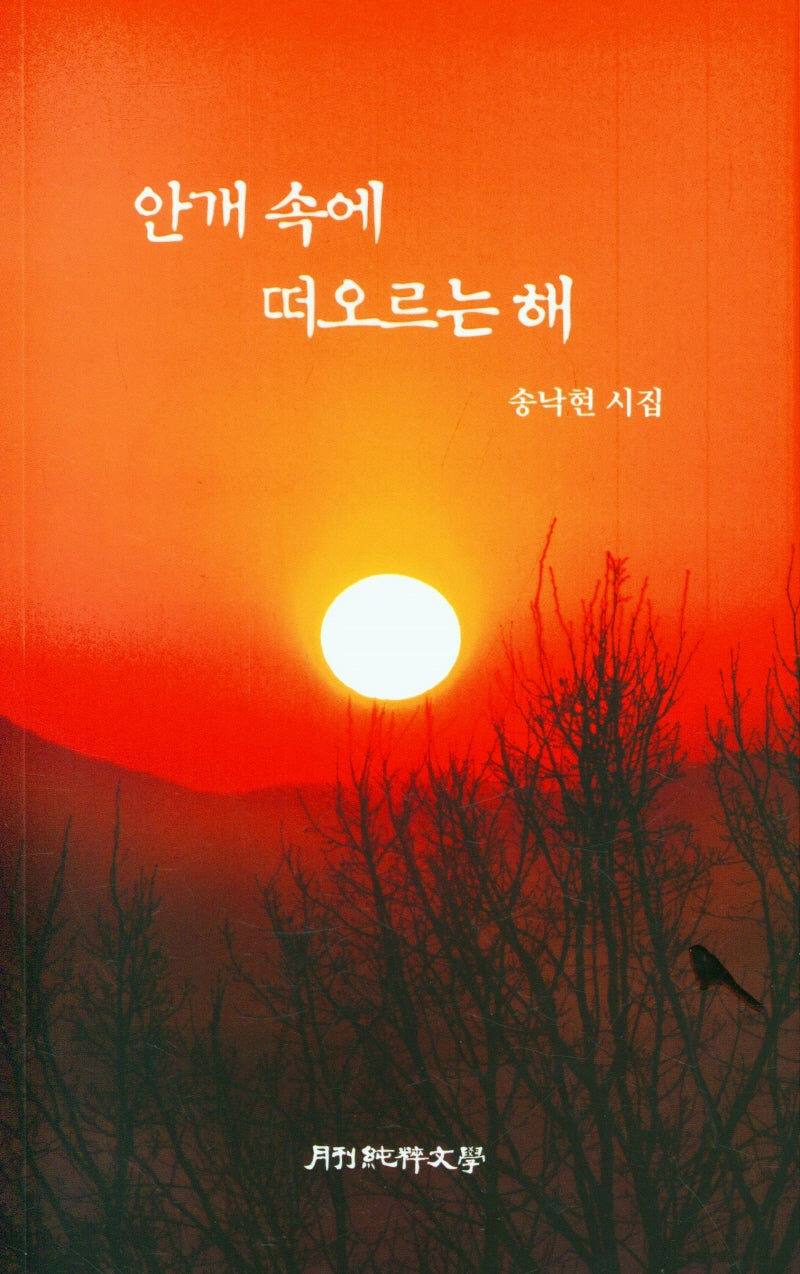 안개 속에 떠오르는 해