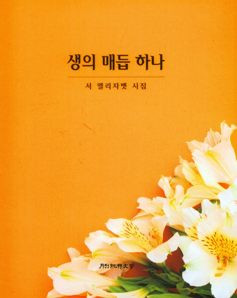 생의 매듭 하나
