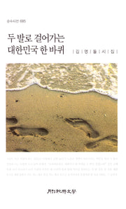 두 발로 걸어가는 대한민국 한 바퀴(순수시선 685)