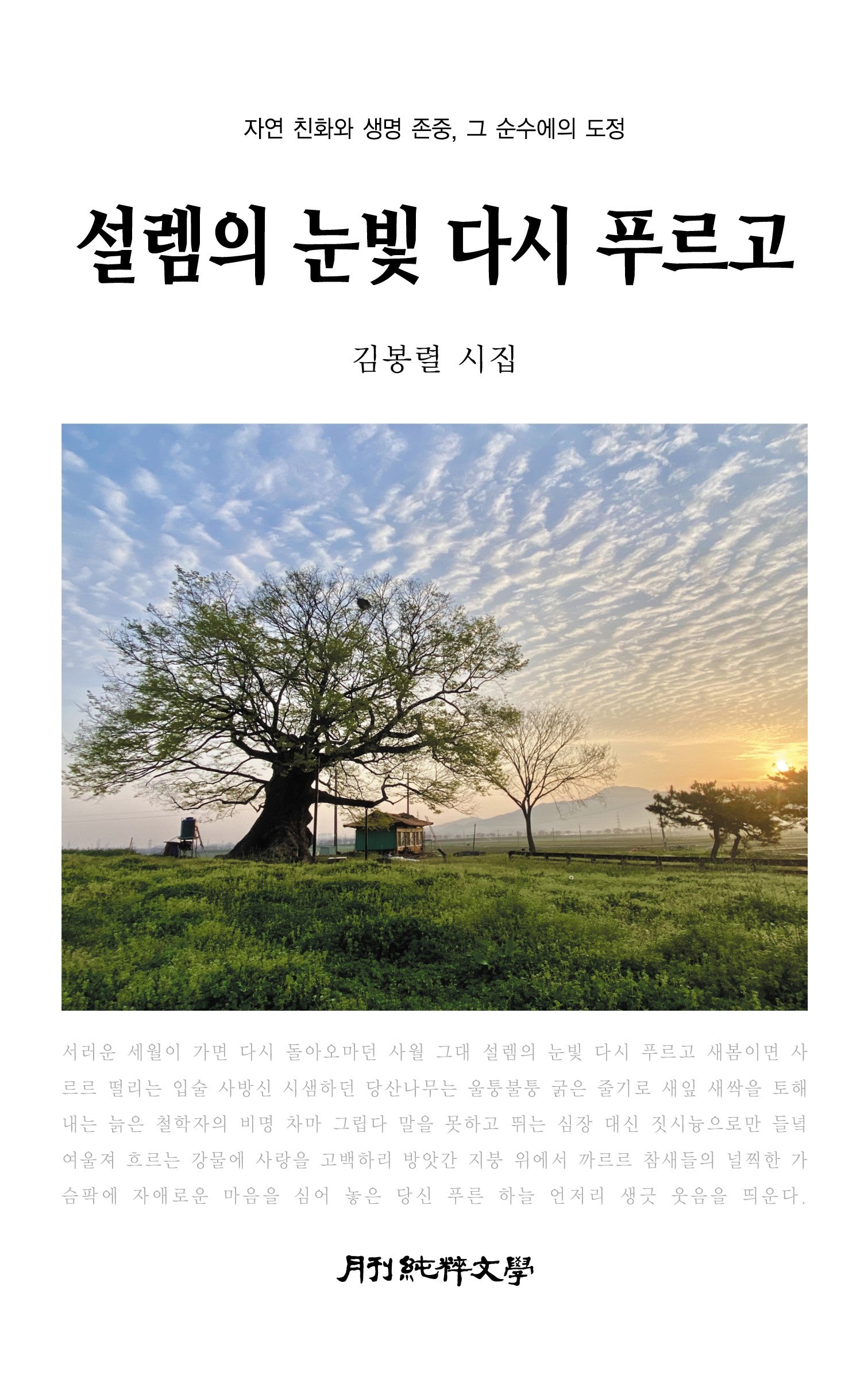 설렘의 눈빛 다시 푸르고