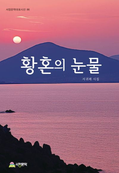 황혼의 눈물(서정문학대표시선 86)