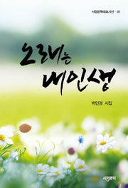 노래는 내인생(서정문학대표시선 95)
