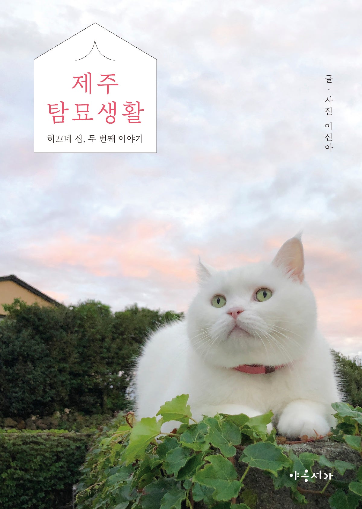 제주 탐묘생활
