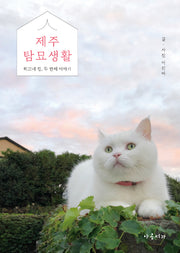 제주 탐묘생활