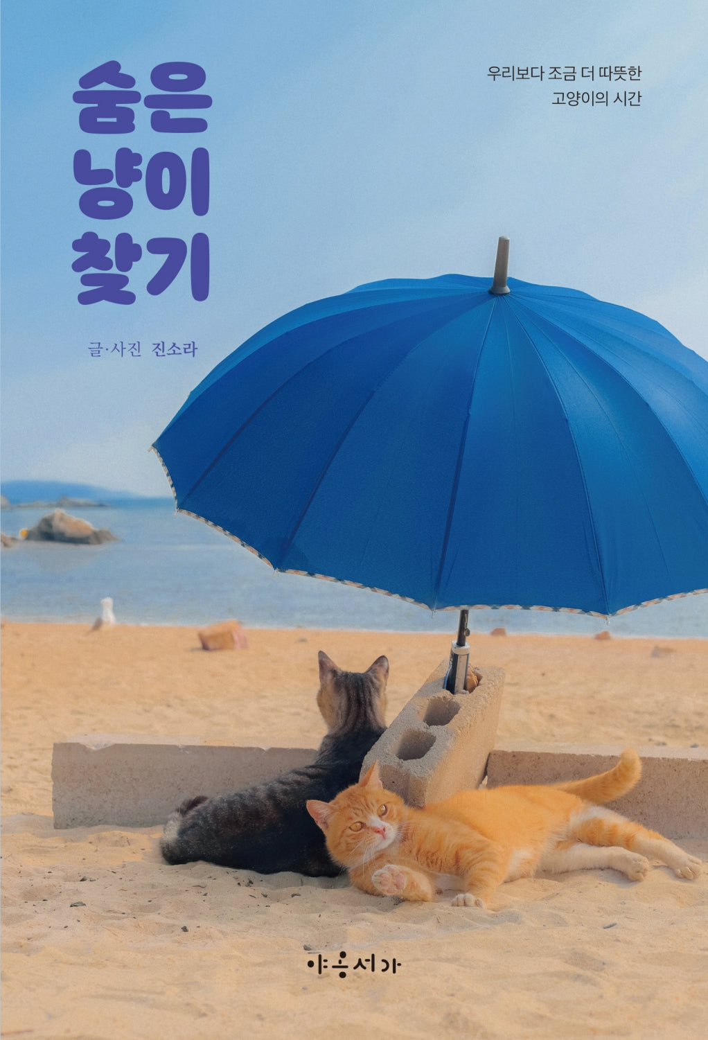 숨은 냥이 찾기