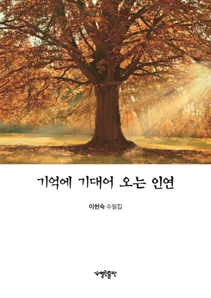 기억에 기대어 오는 인연