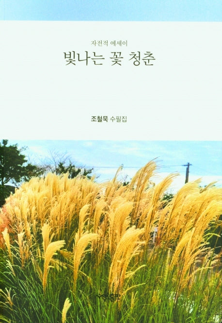 빛나는 꽃 청춘