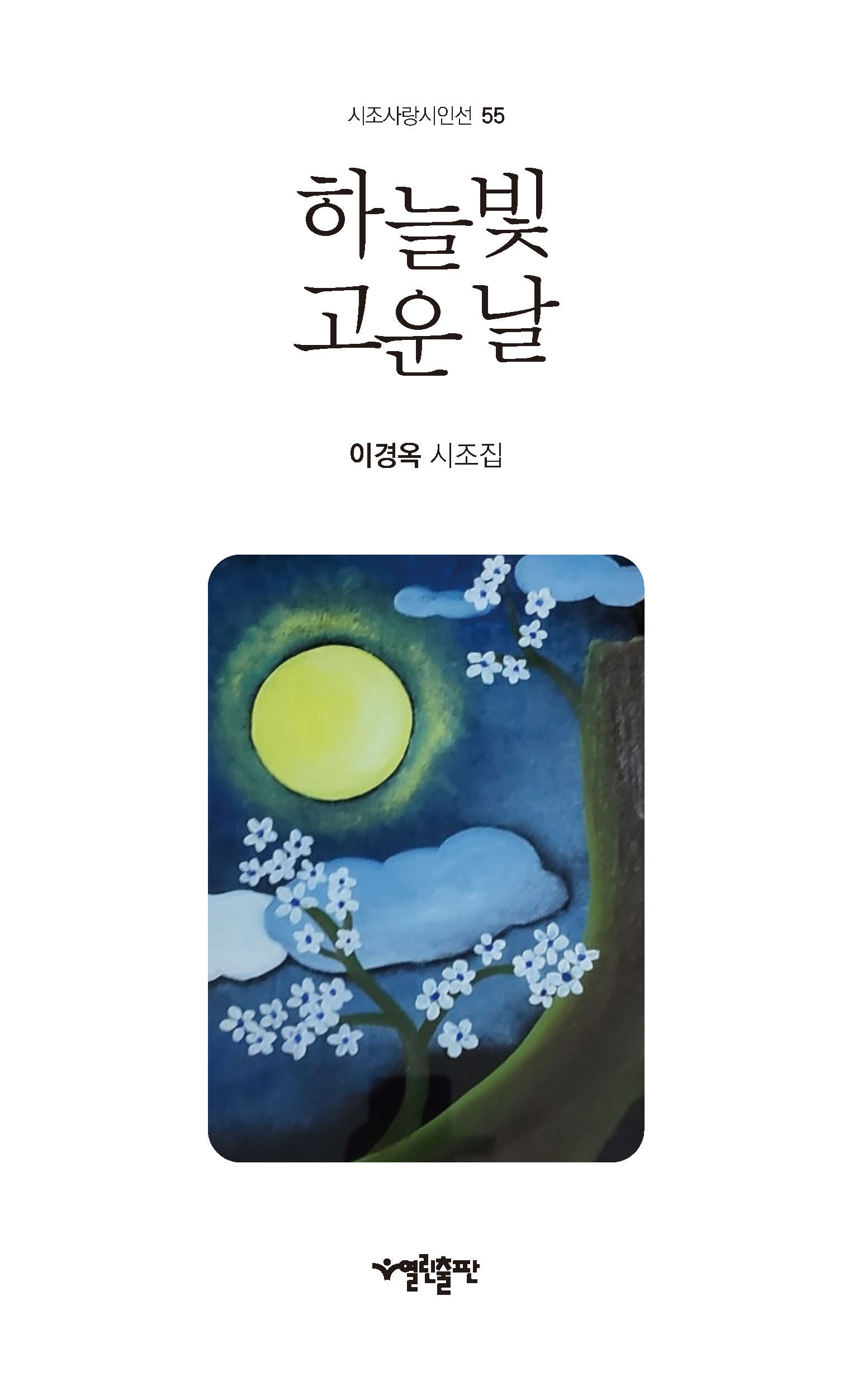 하늘빛 고운 날(시조사랑시인선 55)