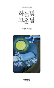 하늘빛 고운 날(시조사랑시인선 55)